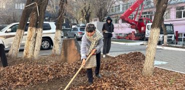 4___1763121213.3130357