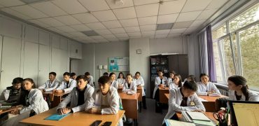 WhatsApp Image 2025-11-12 at 16.10.44___1763095589.4917748