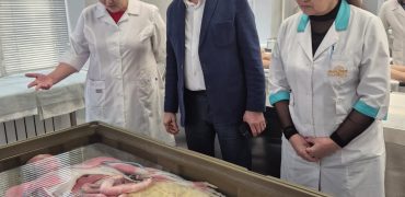 WhatsApp Image 2025-11-26 at 15.11.34___1764567039.9278076